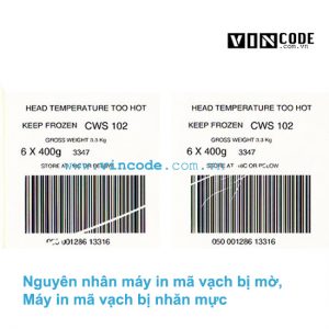 máy in mã vạch bị mờ hoặc nhăn mực